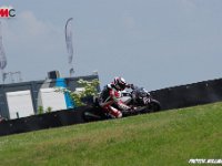 IMGP4950