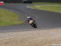 IMGP5141
