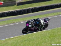 IMGP1178