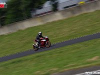 IMGP1253