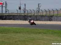 IMGP2448