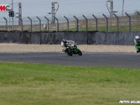 IMGP2469