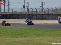 IMGP2474