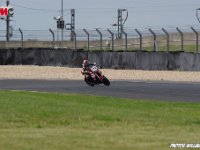 IMGP2477