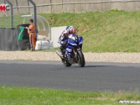 IMGP2511