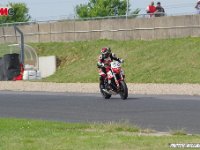 IMGP2518