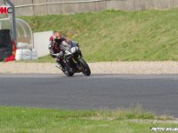 IMGP2523