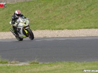 IMGP2529