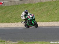 IMGP2534