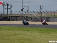 IMGP2730